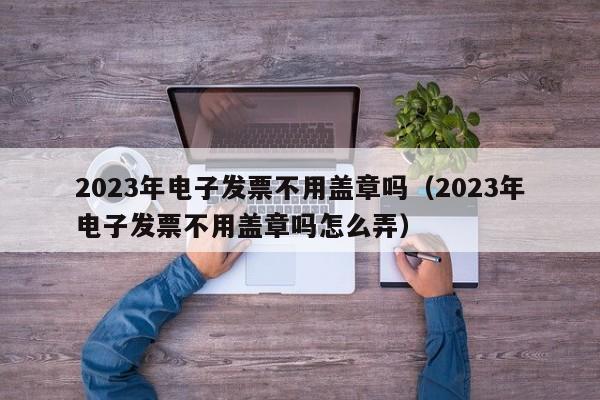 2023年电子发票不用盖章吗（2023年电子发票不用盖章吗怎么弄）