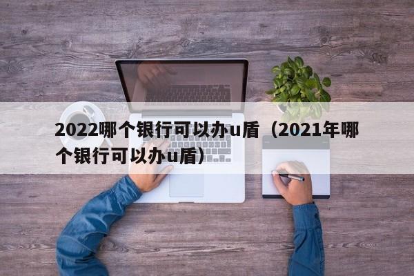 2022哪个银行可以办u盾（2021年哪个银行可以办u盾）