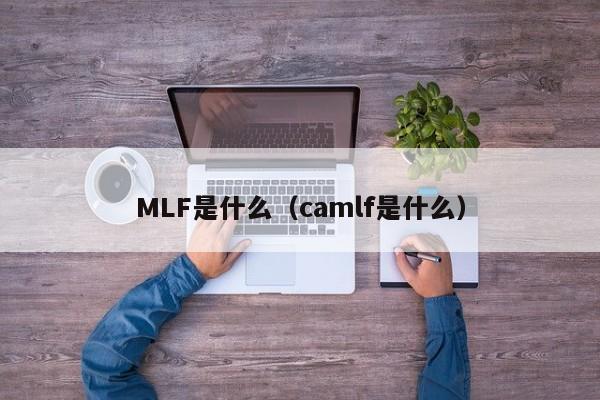 MLF是什么（camlf是什么）