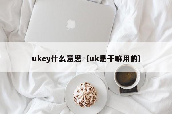 ukey什么意思（uk是干嘛用的）