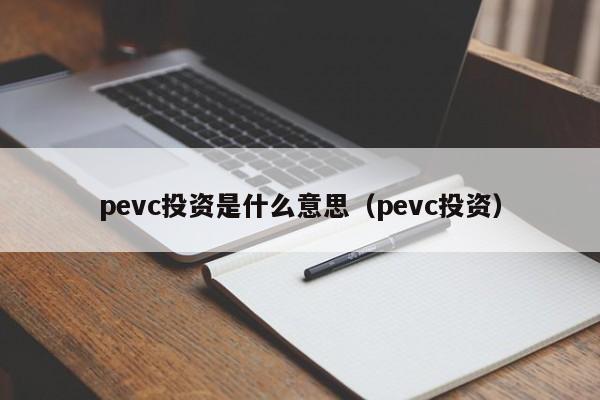 pevc投资是什么意思（pevc投资）