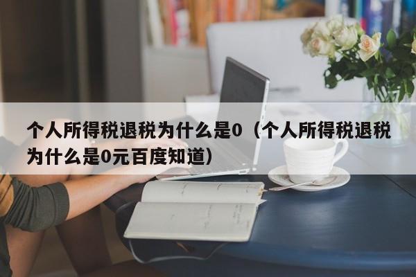 个人所得税退税为什么是0（个人所得税退税为什么是0元百度知道）