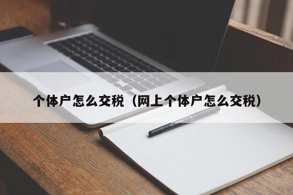 个体户怎么交税（网上个体户怎么交税）