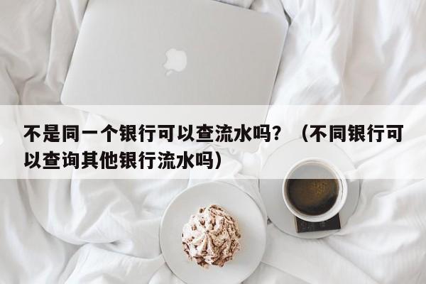 不是同一个银行可以查流水吗？（不同银行可以查询其他银行流水吗）