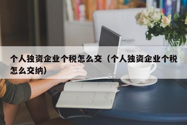 个人独资企业个税怎么交（个人独资企业个税怎么交纳）