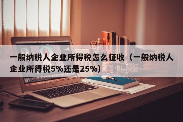 一般纳税人企业所得税怎么征收（一般纳税人企业所得税5%还是25%）