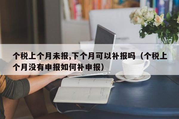 个税上个月未报,下个月可以补报吗（个税上个月没有申报如何补申报）