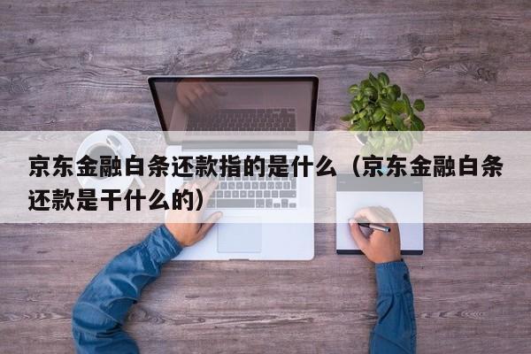 京东金融白条还款指的是什么（京东金融白条还款是干什么的）