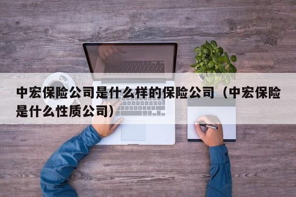 中宏保险公司是什么样的保险公司（中宏保险是什么性质公司）