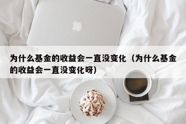 为什么基金的收益会一直没变化（为什么基金的收益会一直没变化呀）