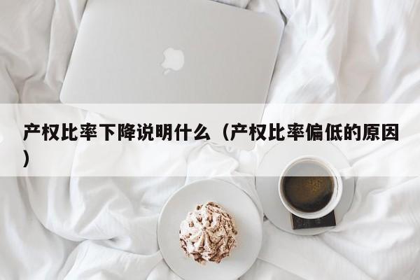 产权比率下降说明什么（产权比率偏低的原因）