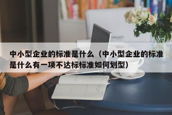 中小型企业的标准是什么（中小型企业的标准是什么有一项不达标标准如何划型）